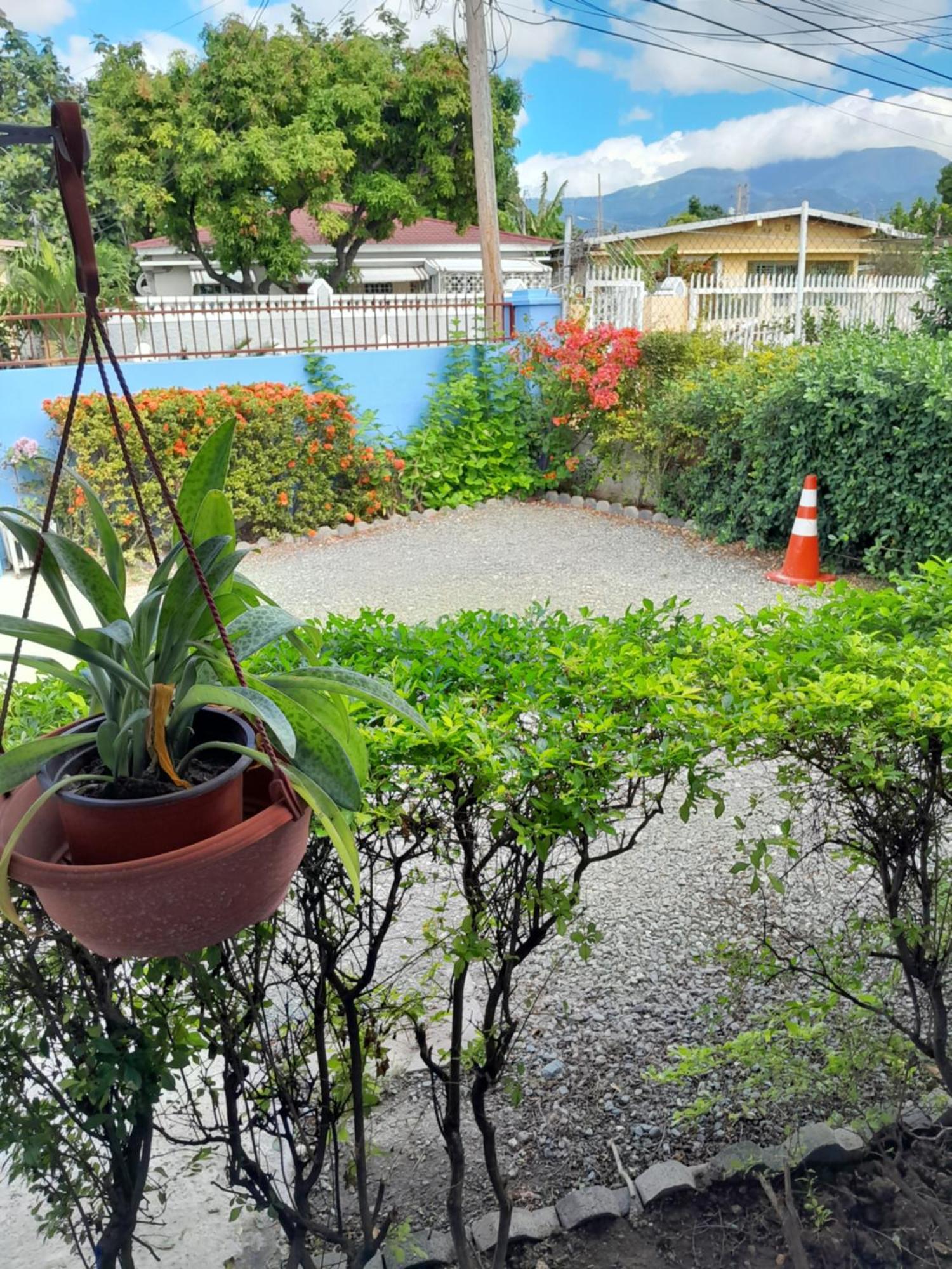 Granann'S Place 金斯敦 外观 照片